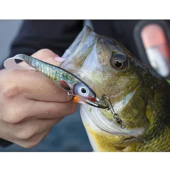 Abu Garcia Svartzonker McPerch Curly 11cm Real Pike