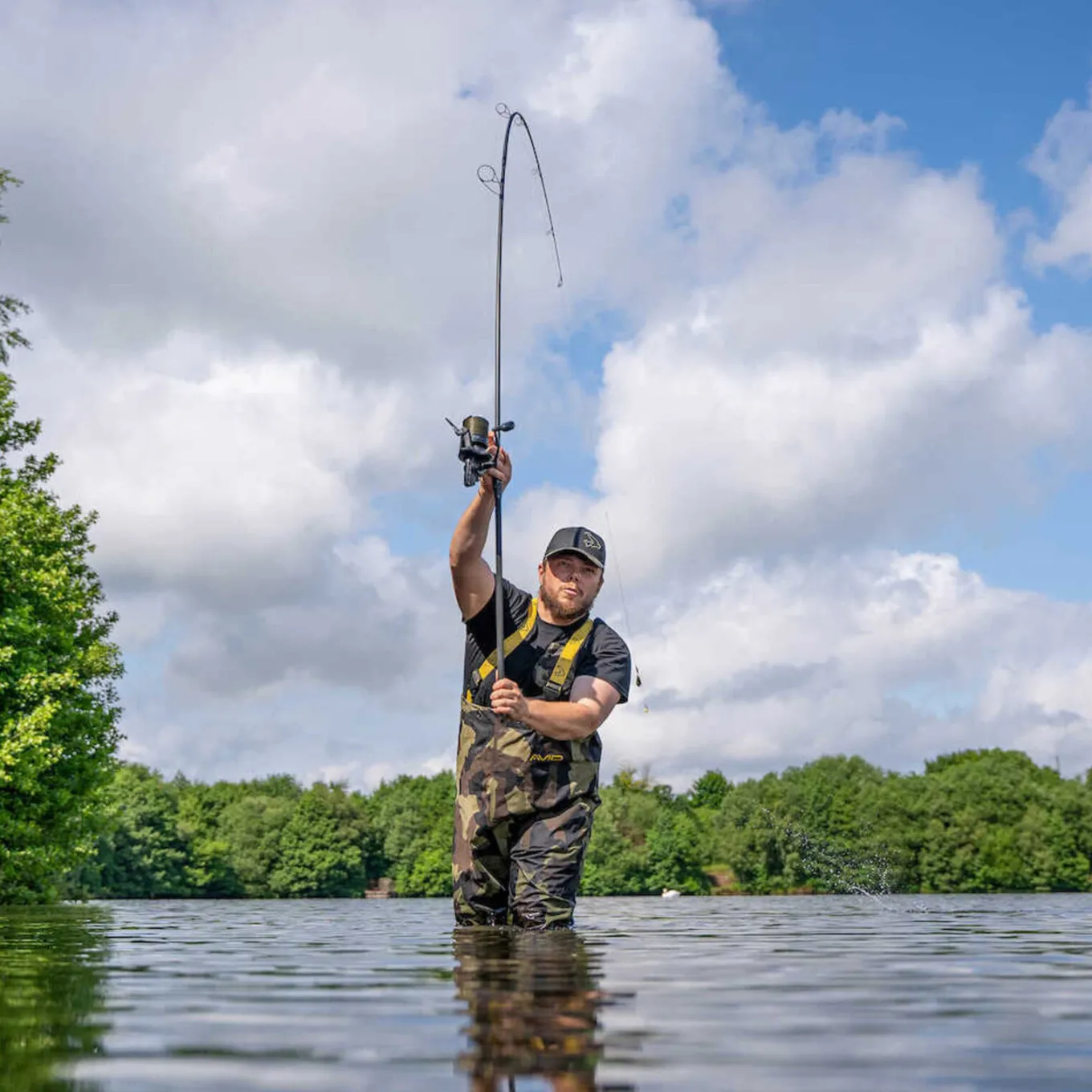 Avid Elevate Rod