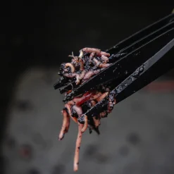 Avid Worm Choppers