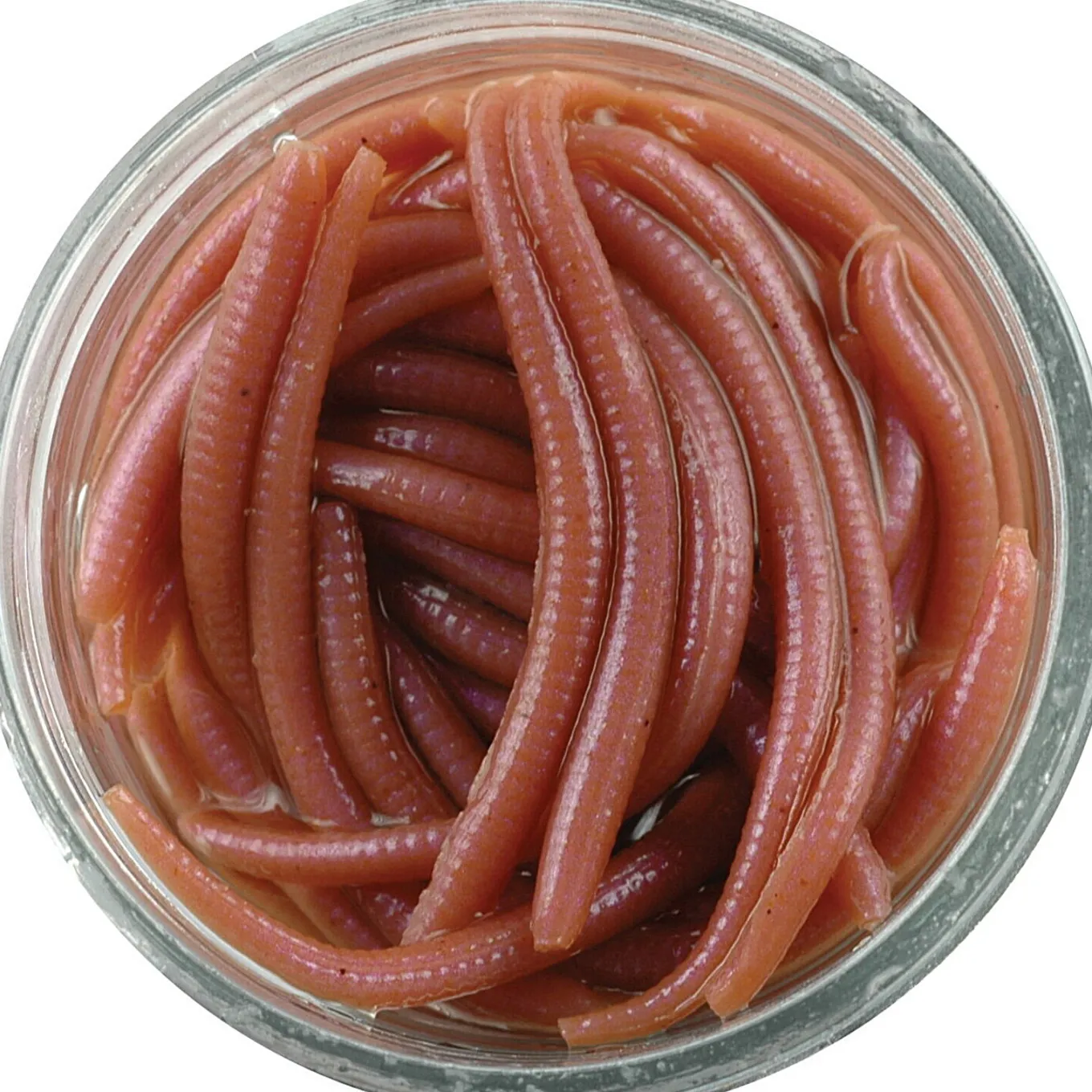 Berkley Gulp Alive Angle Worm