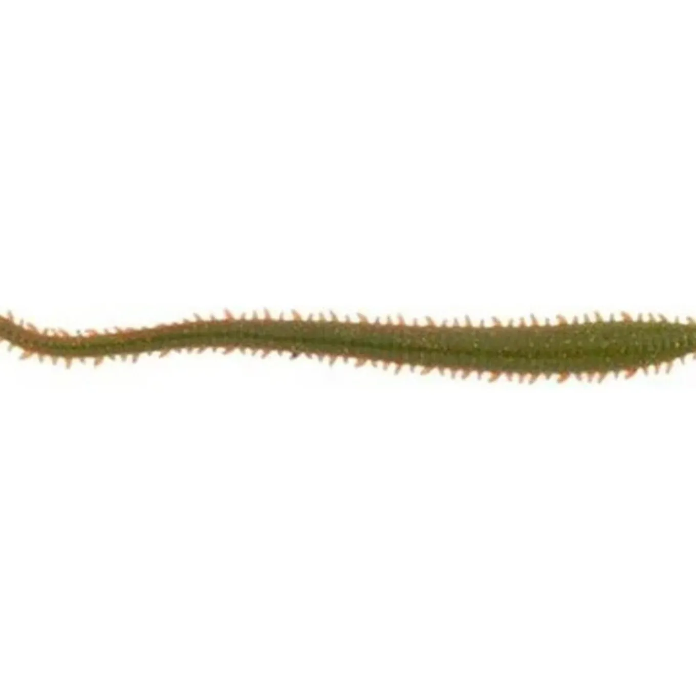 Berkley Gulp! Saltwater Sandworm