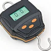 Fox Digital Scales 60kg-132lb