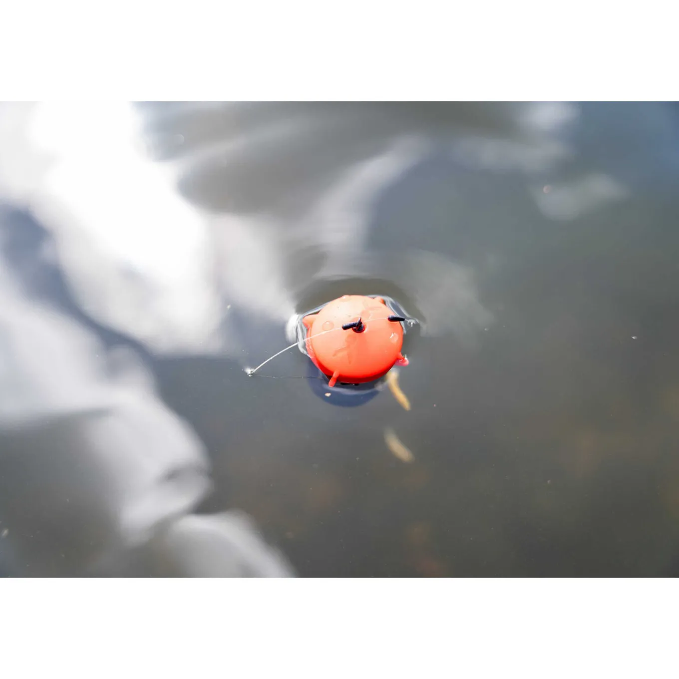 Korum Floating Feeder