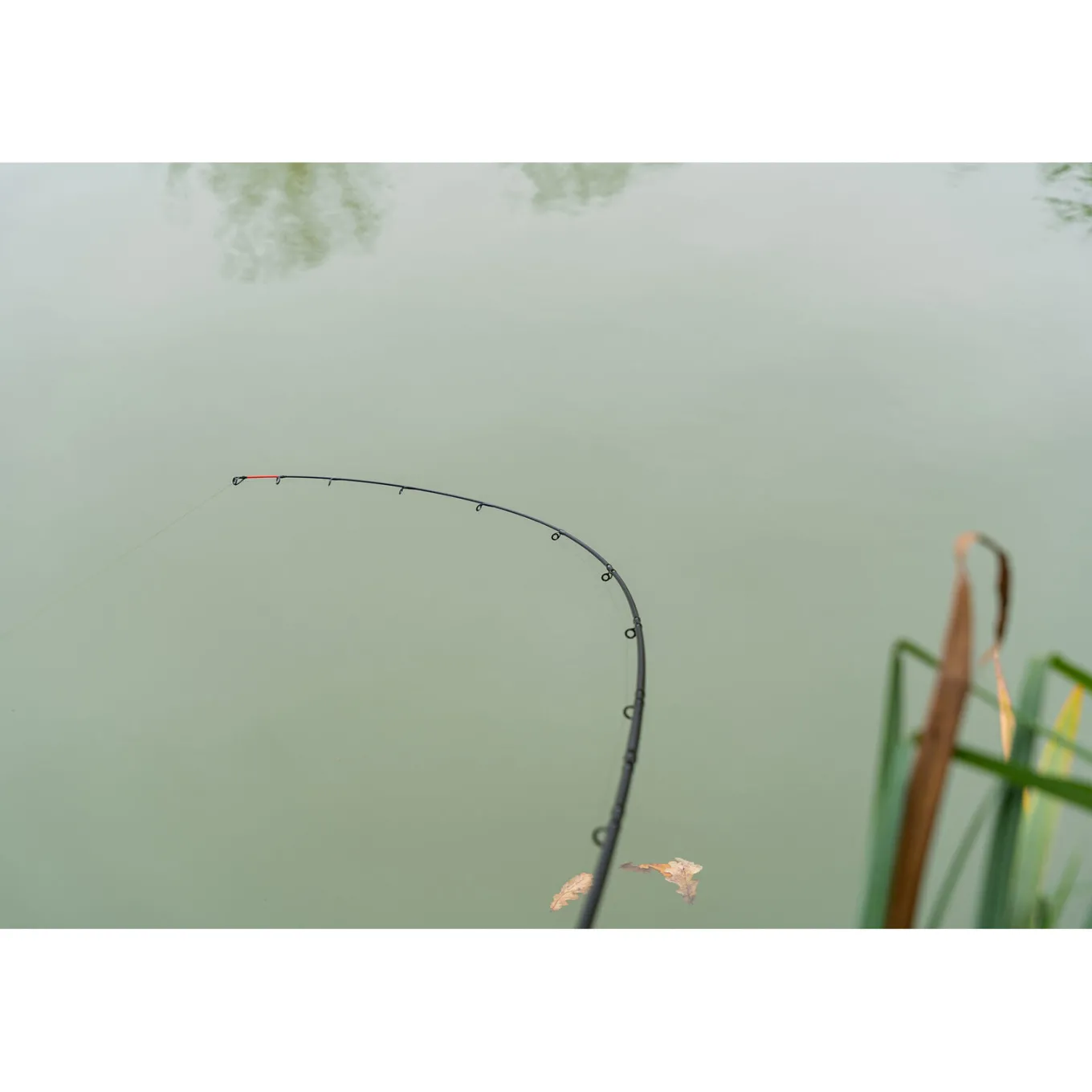 Korum Limitless Feeder Rod