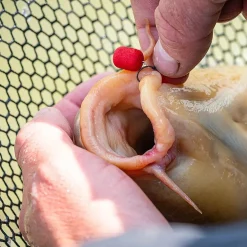 Mainline Match Dumbell Wafters