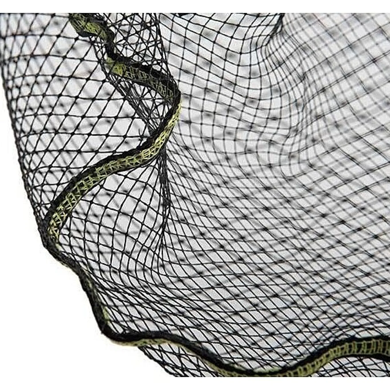 Matrix Carp Latex Net