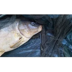 PB Products Heli-Chod Buffer Hood