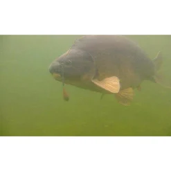 PB Products Heli-Chod Buffer Hood