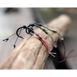 PB Products Shrimp Aligner