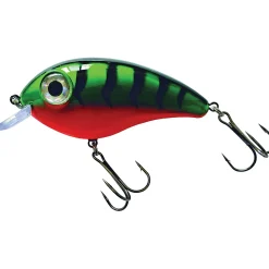 Predox Big Eye Joe