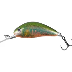 Salmo Hornet