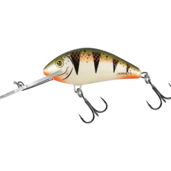 Salmo Hornet