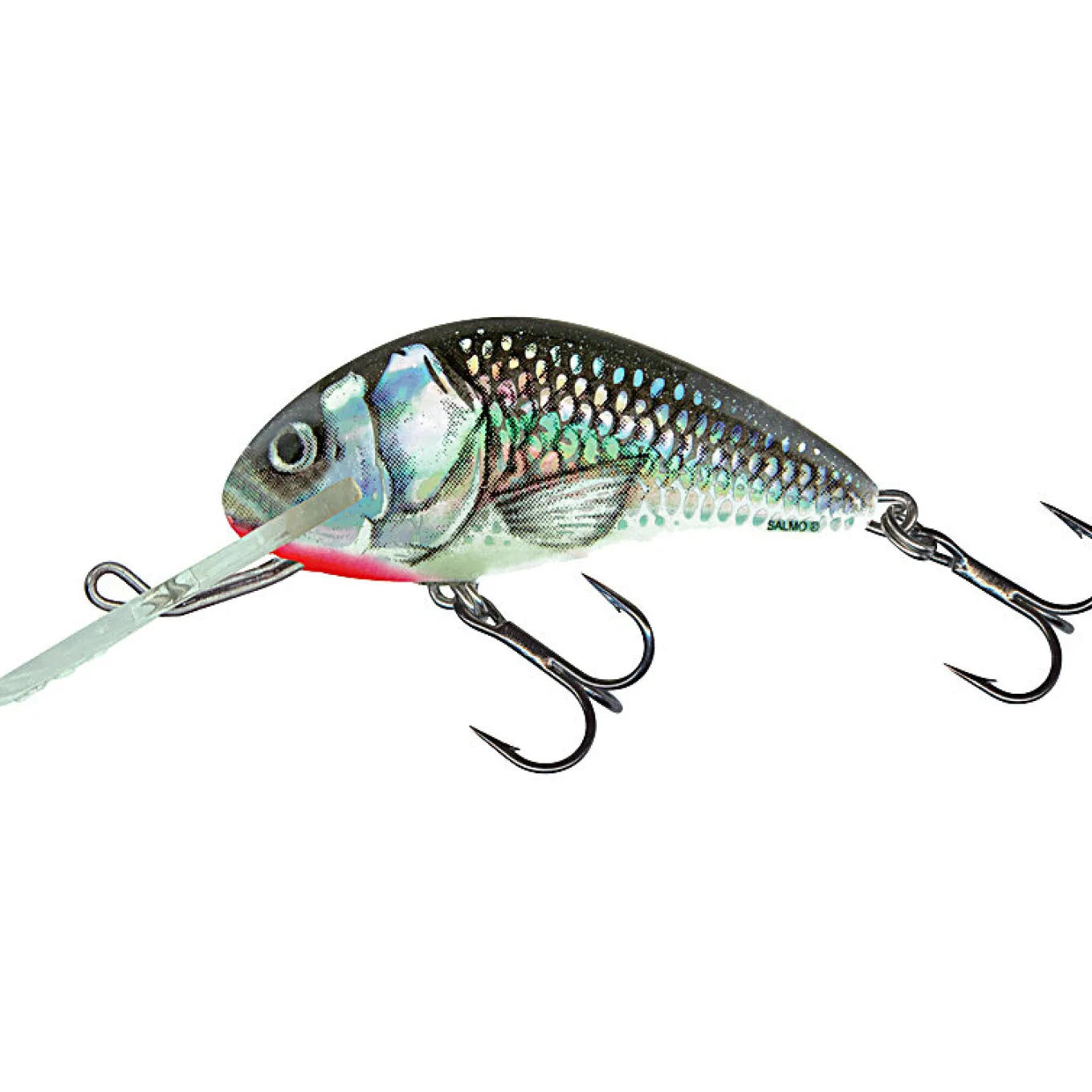 Salmo Hornet