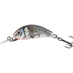 Salmo Hornet