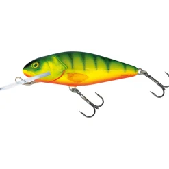Salmo Perch