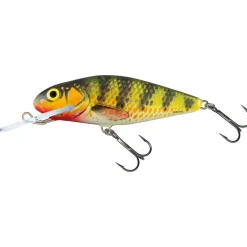 Salmo Perch