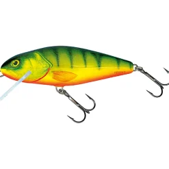 Salmo Perch