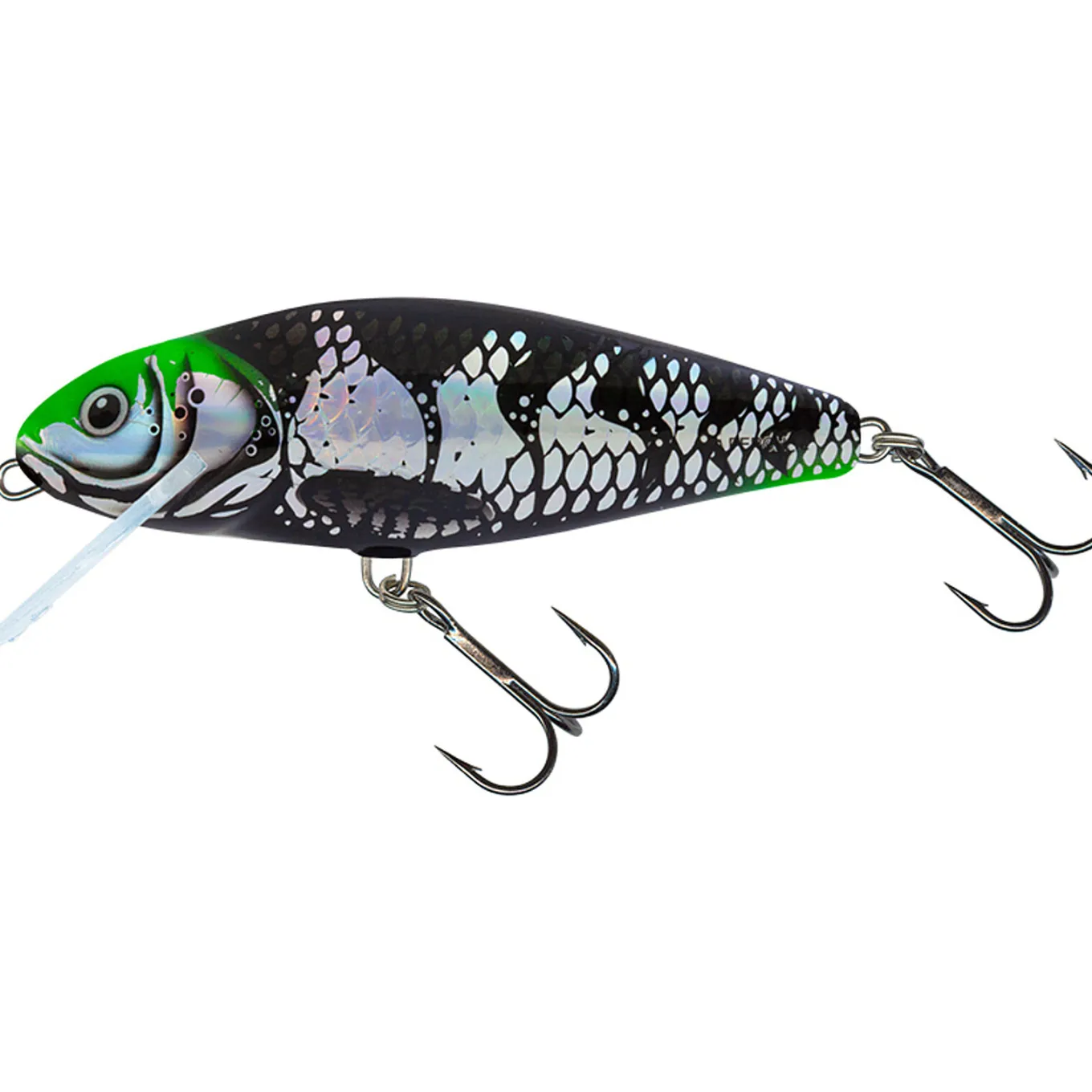 Salmo Perch