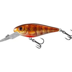 Salmo Rattlin’ Executors