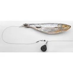 Spro Dead Bait Ready To Go Bottom Rig 50cm H4 12kg