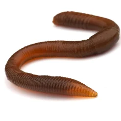 Spro FreeStyle Twitch Worm