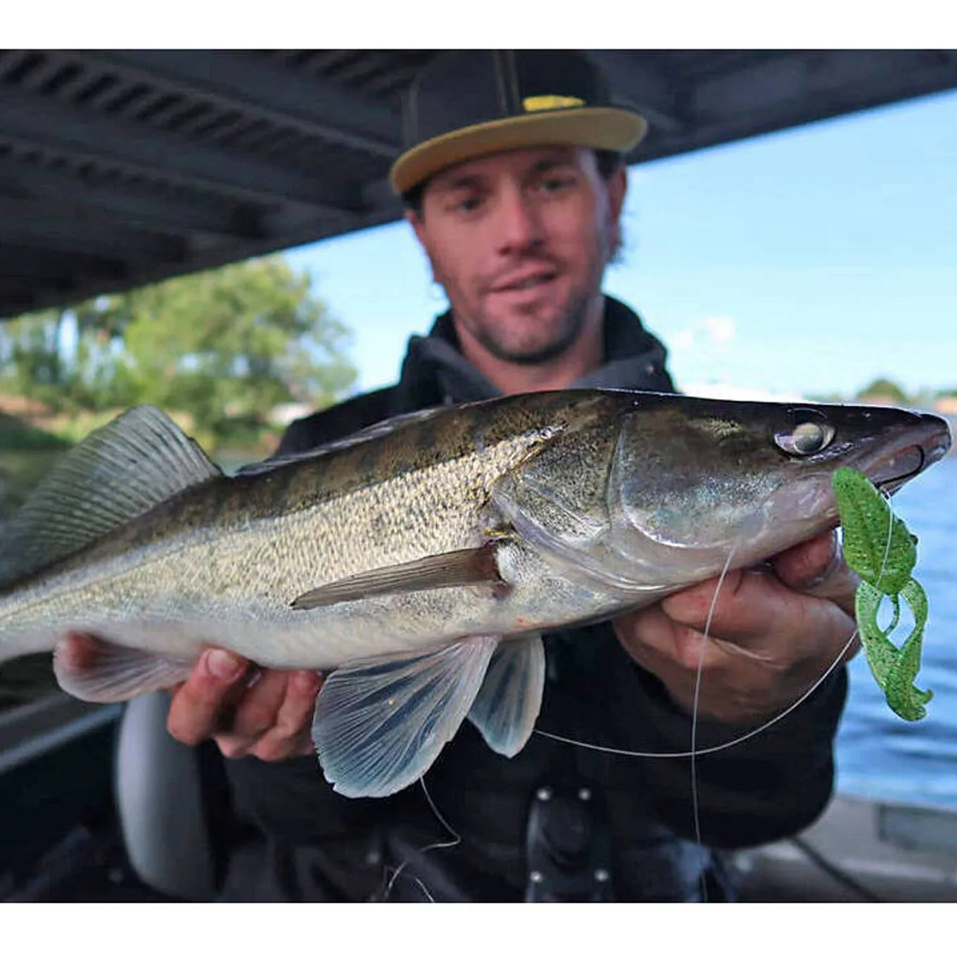 Spro Insta Craw