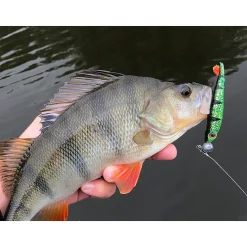 Spro Iris The Shad