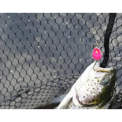Trout Master Incy Spoon