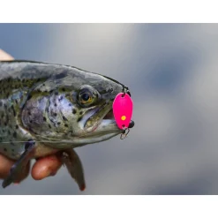 Trout Master Incy Spoon