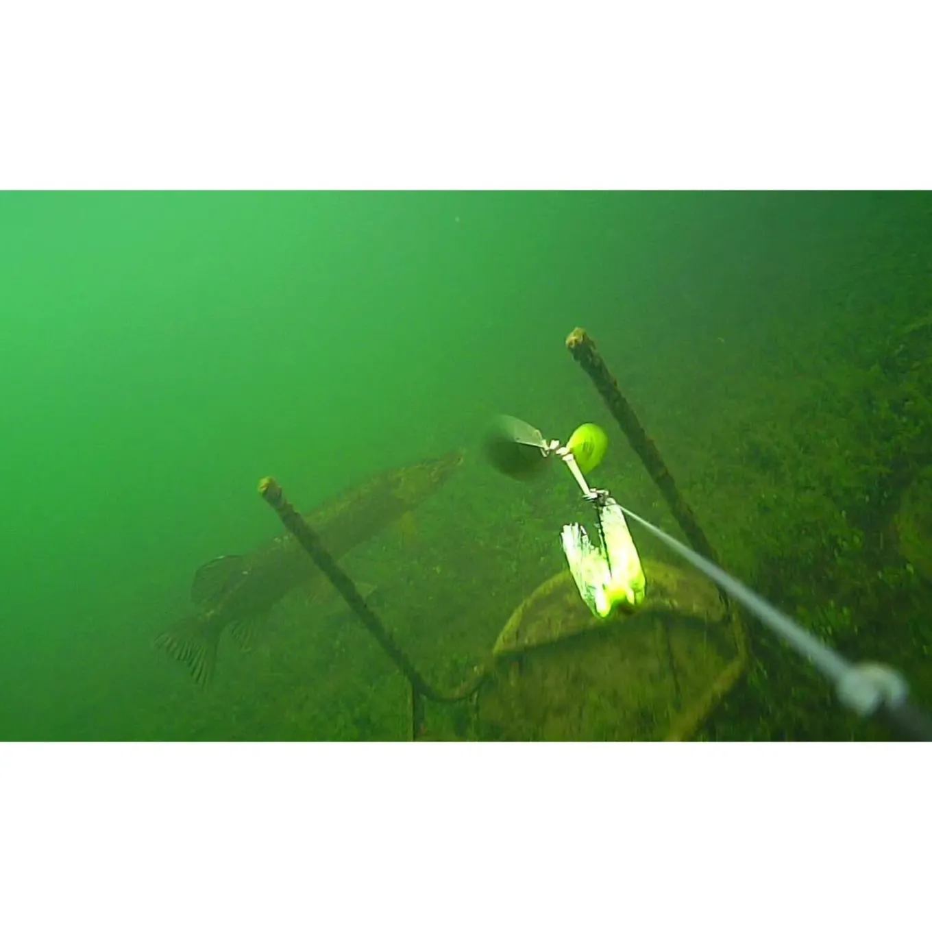 WaterWolf Pro 2.0 WiFi 2K