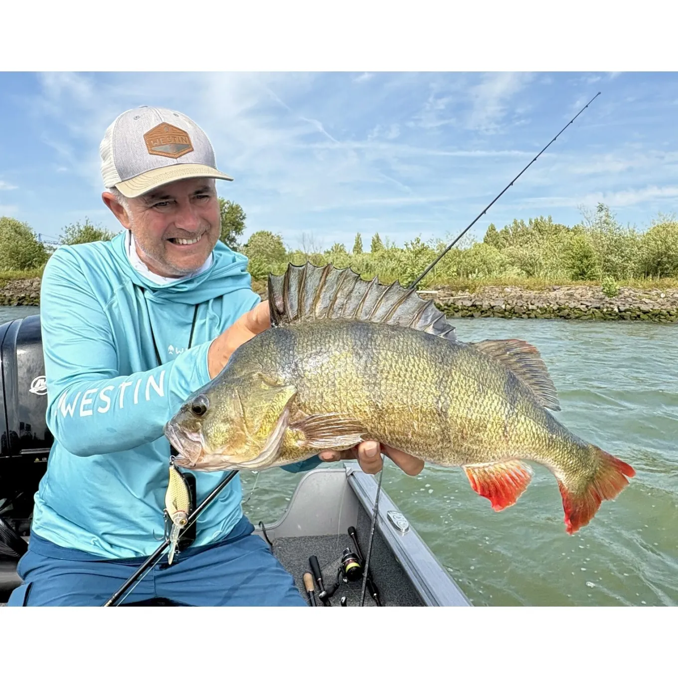 Westin BuzzBite Crankbait