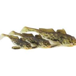 Westin Gunnar The Goby