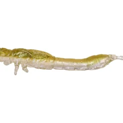 Westin Odonata Ned Creaturebait